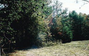 pic2