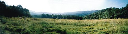 Facing east field