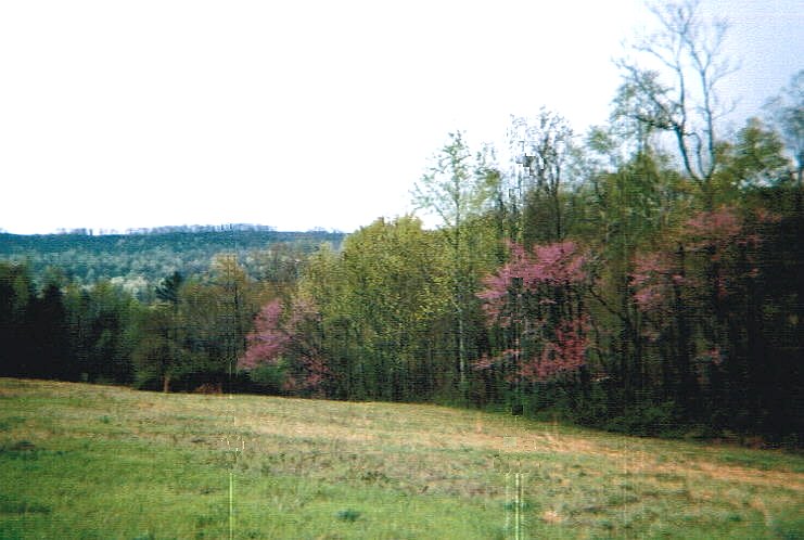 pic8