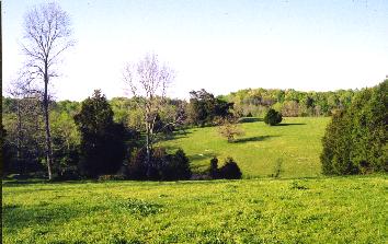 nearby farmland