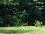 real estate parcel property 2 for sale FSBO