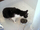 Click to see! 
Calliope's yard!