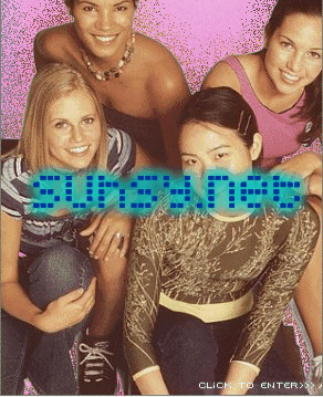 enter svhsy.net