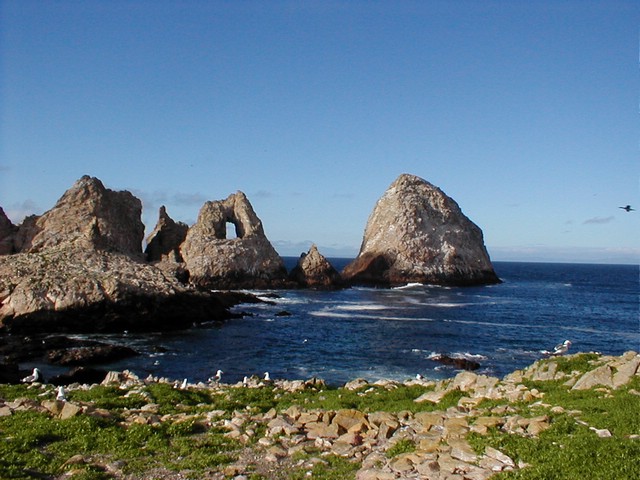 Fishermans_bay.JPG