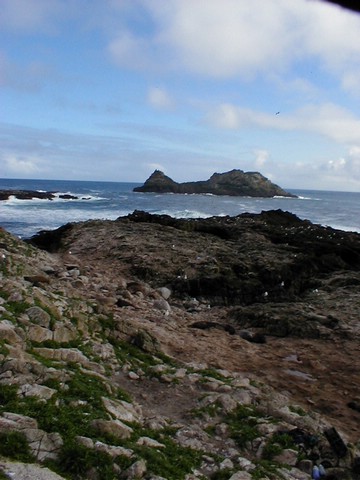 Sea_elephants_and_saddle_rock.JPG