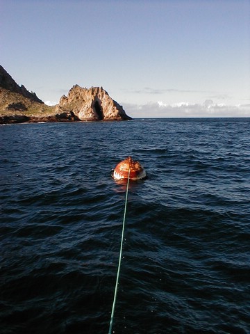 The_mooring_bouy.JPG