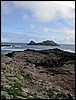 Elephant_seals_and_saddle_rock2.JPG