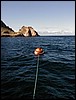 The_mooring_bouy.JPG