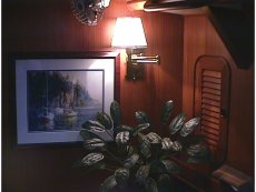 sequel_plant.jpg (8917 bytes)