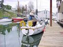 Setting up the "bimini"