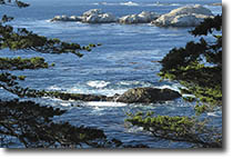 Big Sur Coast