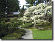 Bloedel Reserve