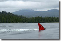 Buoy in Current