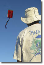 Fly A Kite