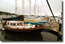 Cassiar II