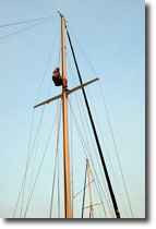 Up the mast