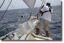 Bill Dropping Sails