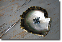 Black Pearls