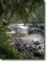 Shoreline Hatiheu