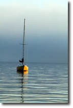 Fog Offshore