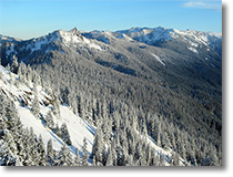 Hurricane Ridge