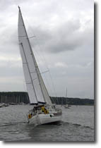 HC4410 Sailing