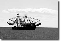 Trawler