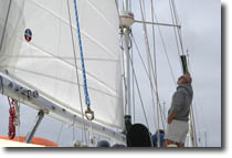 New Sail