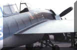 wildcat.jpg (42822 bytes)