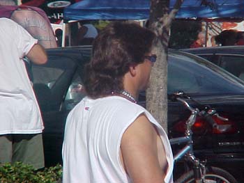 gasparmullet4