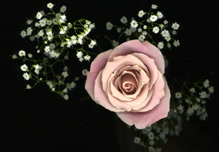 A picture