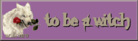 To Be A Witch