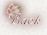 visitorback.jpg 160x120