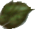 whtflwbutton.gif 50x42