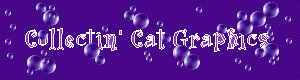 wtrgrlgraphics.gif 300x80