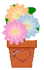 The Site Fights Spirit Flowers