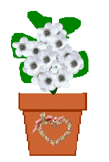 The Site Fights Spirit Flowers
