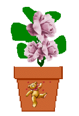 The Site Fights Spirit Flowers