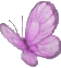 butterfly_purple.gif (2649 bytes)