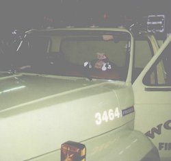 Curly driving the Pumper