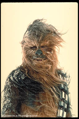 Chewbacca_1.jpg (29052 bytes)