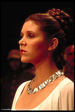 Princess_Leia_1.jpg (21380 bytes)