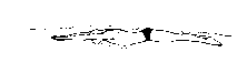 breaststroke