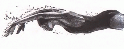 butterfly01.gif