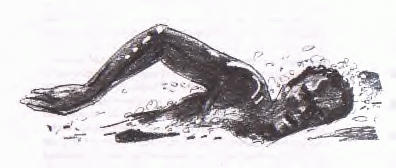 freestyle01.gif