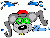 Rat