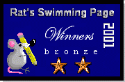 Bronze Winners