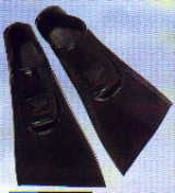 speedfin.jpg