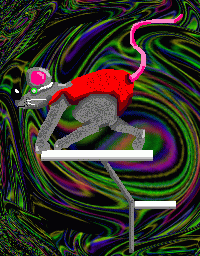 TECHNIQUE