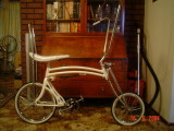 Jakes's White Swing Bike
